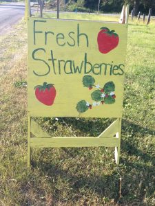It's the time of year that you see the road side stands offering locally grown fresh strawberries.