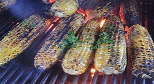 The how to instructions for cooking fresh corn on a gas grill! 