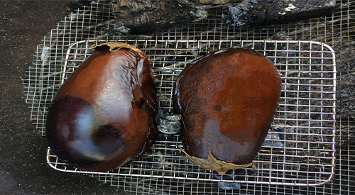 Ember Fired Eggplant on the rack cooking above a bed of hot coals. This technique provides the heat for cooking and the aroma of the wood smoke