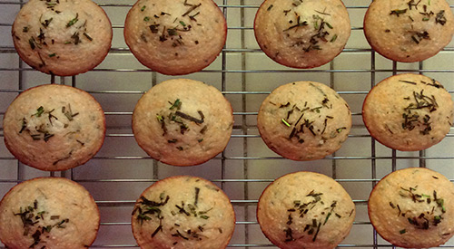 Our Savory Corn Muffins on the cool down rack. Just waiting to be served! 