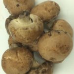 Fresh Mushrooms are a must for Tapenade
