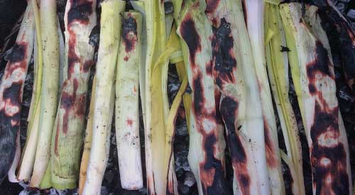 Our leeks fire roasted over a bed of hot wood ember coals!