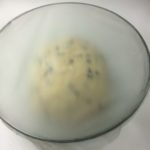 our covered yeast and flour mixture wrap to rise